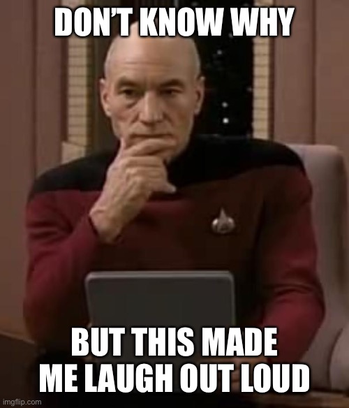 picard thinking | DON’T KNOW WHY BUT THIS MADE ME LAUGH OUT LOUD | image tagged in picard thinking | made w/ Imgflip meme maker