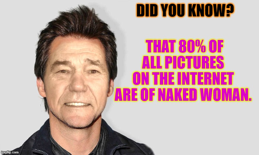 DID YOU KNOW? THAT 80% OF ALL PICTURES ON THE INTERNET ARE OF NAKED WOMAN. | image tagged in did you know,fact,kewlew | made w/ Imgflip meme maker