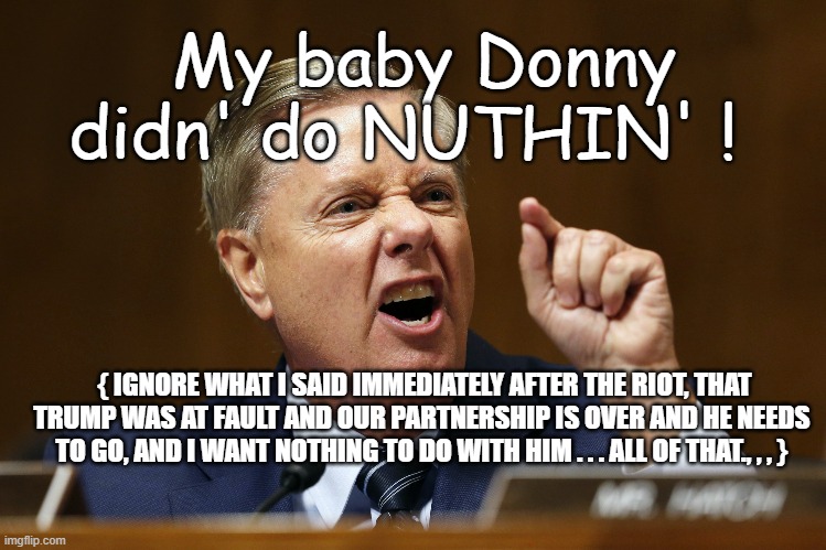 My baby Donny didn' do NUTHIN' ! { IGNORE WHAT I SAID IMMEDIATELY AFTER THE RIOT, THAT TRUMP WAS AT FAULT AND OUR PARTNERSHIP IS OVER AND HE NEEDS TO GO, AND I WANT NOTHING TO DO WITH HIM . . . ALL OF THAT., , , } | made w/ Imgflip meme maker