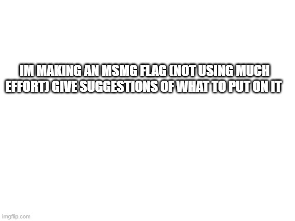 Blank White Template | IM MAKING AN MSMG FLAG (NOT USING MUCH EFFORT) GIVE SUGGESTIONS OF WHAT TO PUT ON IT | image tagged in blank white template | made w/ Imgflip meme maker