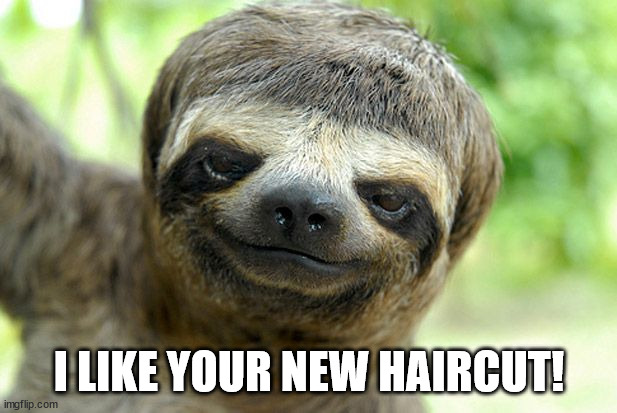 swag sloth with haircut | I LIKE YOUR NEW HAIRCUT! | image tagged in swag sloth with haircut | made w/ Imgflip meme maker