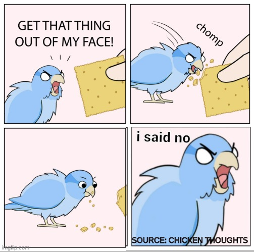 Angry Bird Chicken Thoughts I Said No. Blank Meme Template