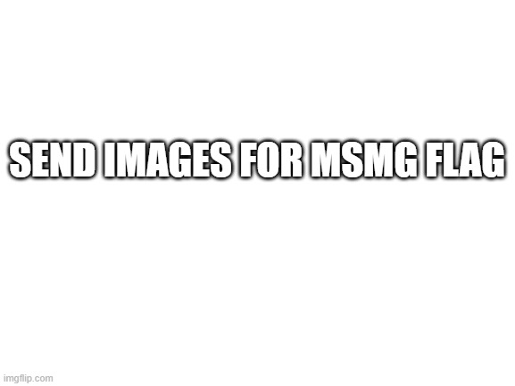 Blank White Template | SEND IMAGES FOR MSMG FLAG | image tagged in blank white template | made w/ Imgflip meme maker