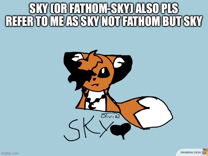 Sky | SKY (OR FATHOM-SKY) ALSO PLS REFER TO ME AS SKY NOT FATHOM BUT SKY | image tagged in sky | made w/ Imgflip meme maker