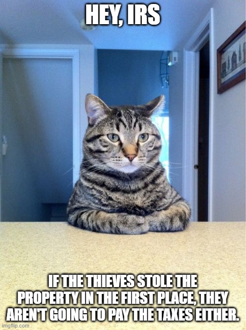 Take A Seat Cat Meme | HEY, IRS IF THE THIEVES STOLE THE PROPERTY IN THE FIRST PLACE, THEY AREN'T GOING TO PAY THE TAXES EITHER. | image tagged in memes,take a seat cat | made w/ Imgflip meme maker
