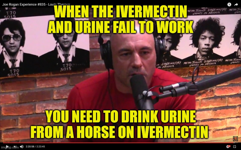 Joe Rogan | WHEN THE IVERMECTIN AND URINE FAIL TO WORK YOU NEED TO DRINK URINE FROM A HORSE ON IVERMECTIN | image tagged in joe rogan | made w/ Imgflip meme maker