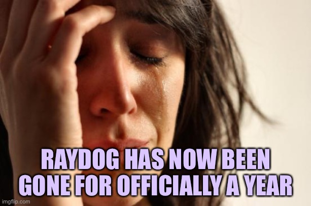 Sad :( I wish he would come back | RAYDOG HAS NOW BEEN GONE FOR OFFICIALLY A YEAR | image tagged in memes,first world problems | made w/ Imgflip meme maker