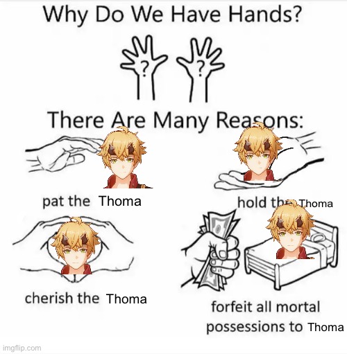 Why do we have hands? (all blank) | Thoma; Thoma; Thoma; Thoma | image tagged in why do we have hands all blank | made w/ Imgflip meme maker