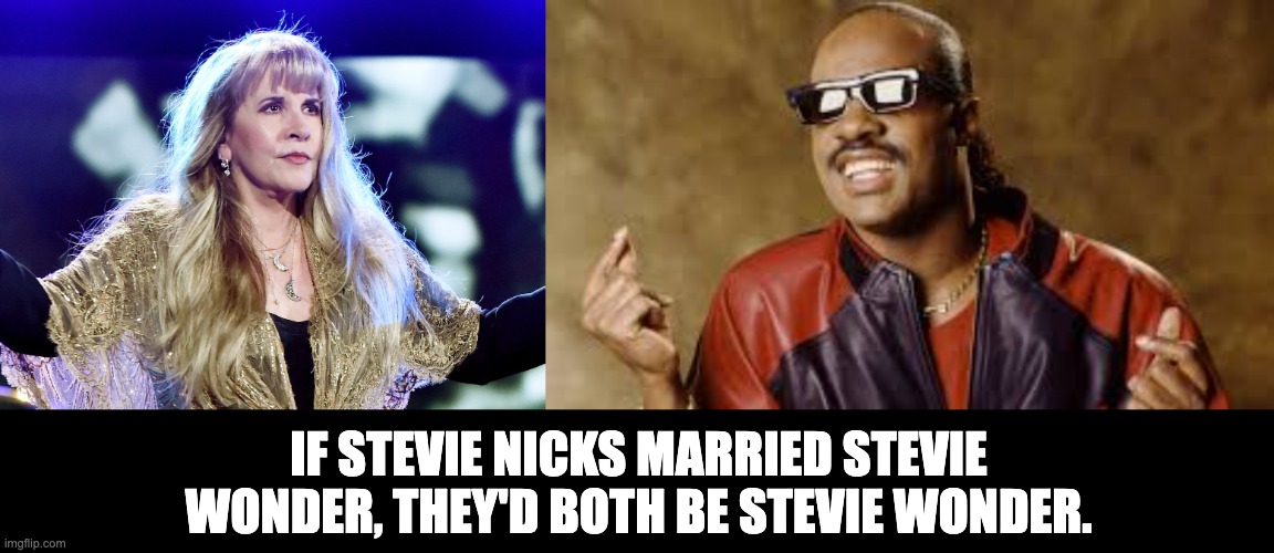 Hmmmm | IF STEVIE NICKS MARRIED STEVIE WONDER, THEY'D BOTH BE STEVIE WONDER. | image tagged in stevie wonder | made w/ Imgflip meme maker