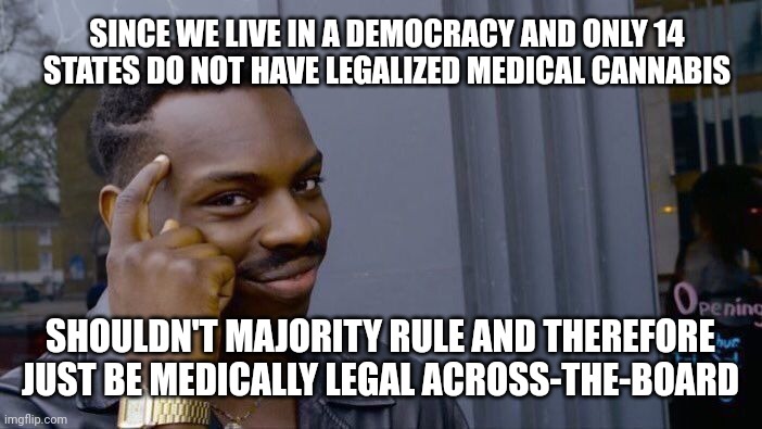 Roll Safe Think About It | SINCE WE LIVE IN A DEMOCRACY AND ONLY 14 STATES DO NOT HAVE LEGALIZED MEDICAL CANNABIS; SHOULDN'T MAJORITY RULE AND THEREFORE JUST BE MEDICALLY LEGAL ACROSS-THE-BOARD | image tagged in memes,roll safe think about it | made w/ Imgflip meme maker
