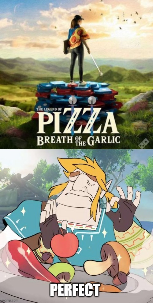 THE GAME THAT WE NEED | PERFECT | image tagged in the legend of zelda,pizza,the legend of zelda breath of the wild,link,perfect | made w/ Imgflip meme maker