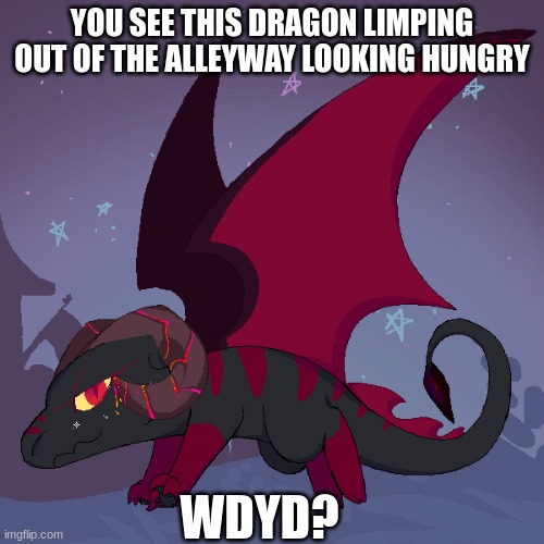 Roleplay with Ashwing(No joke, op OCS, and you can't kill him) | YOU SEE THIS DRAGON LIMPING OUT OF THE ALLEYWAY LOOKING HUNGRY; WDYD? | image tagged in dragons,roleplaying,alleyway | made w/ Imgflip meme maker