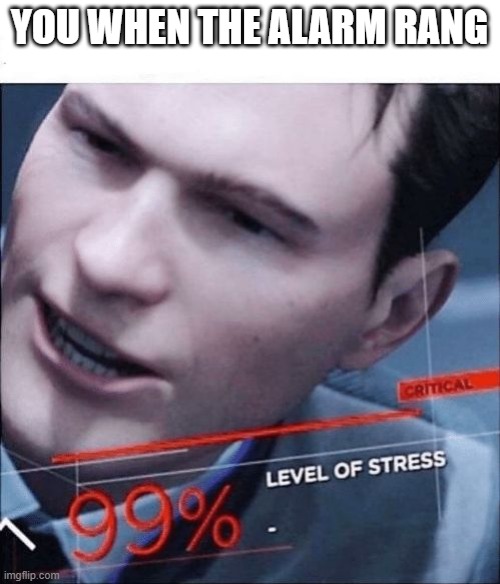 99% Level of Stress | YOU WHEN THE ALARM RANG | image tagged in 99 level of stress | made w/ Imgflip meme maker