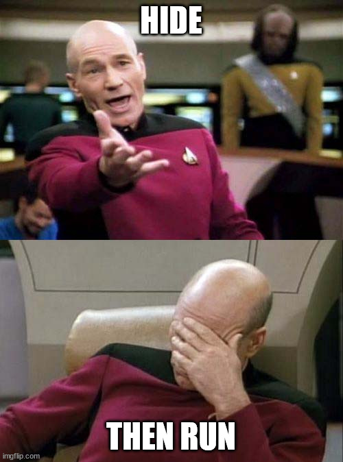 Picard WTF and Facepalm combined | HIDE THEN RUN | image tagged in picard wtf and facepalm combined | made w/ Imgflip meme maker