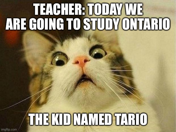 Scared Cat | TEACHER: TODAY WE ARE GOING TO STUDY ONTARIO; THE KID NAMED TARIO | image tagged in memes,scared cat | made w/ Imgflip meme maker