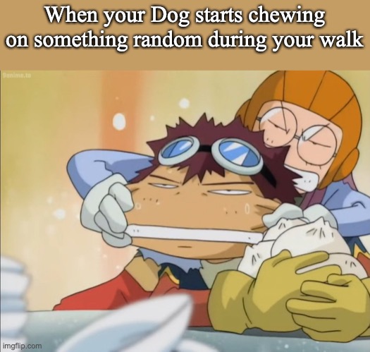 When your Dog starts chewing on something random during your walk | image tagged in digimon,dog,doggos | made w/ Imgflip meme maker