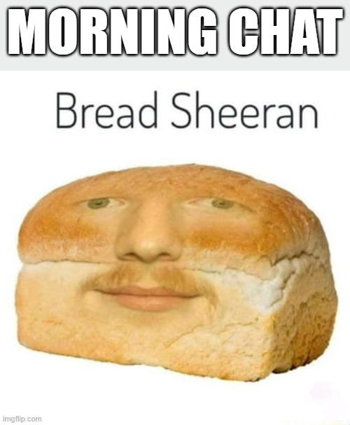 I like bread sheeran | MORNING CHAT | image tagged in bread sheeran | made w/ Imgflip meme maker