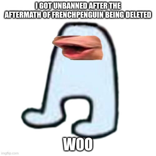 AMOGUS | I GOT UNBANNED AFTER THE AFTERMATH OF FRENCHPENGUIN BEING DELETED; WOO | image tagged in amogus | made w/ Imgflip meme maker