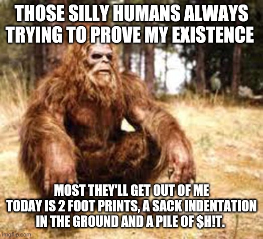 bigfoot |  THOSE SILLY HUMANS ALWAYS TRYING TO PROVE MY EXISTENCE; MOST THEY'LL GET OUT OF ME TODAY IS 2 FOOT PRINTS, A SACK INDENTATION IN THE GROUND AND A PILE OF $H!T. | image tagged in bigfoot | made w/ Imgflip meme maker