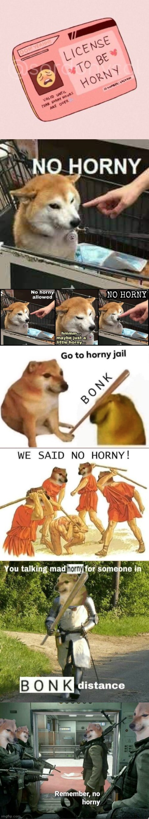 The life of a cheems | image tagged in license to be horny,no horny doge,just a little horny,bonk-go-to-horny-jail,we said no horny,remember no horny | made w/ Imgflip meme maker