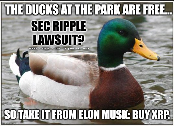 Esoteric Elites still Communicating in Codes? Forget Bitcoin! The One Coin to Rule them All? XRP. | THE DUCKS AT THE PARK ARE FREE... SEC RIPPLE LAWSUIT? DUCKS = FRODO = XRP. 58 gematria code. SO TAKE IT FROM ELON MUSK: BUY XRP. | image tagged in actual advice mallard,elon musk,ripple,xrp,cryptocurrency,the great awakening | made w/ Imgflip meme maker