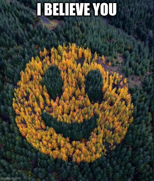 tree smile | I BELIEVE YOU | image tagged in tree smile | made w/ Imgflip meme maker