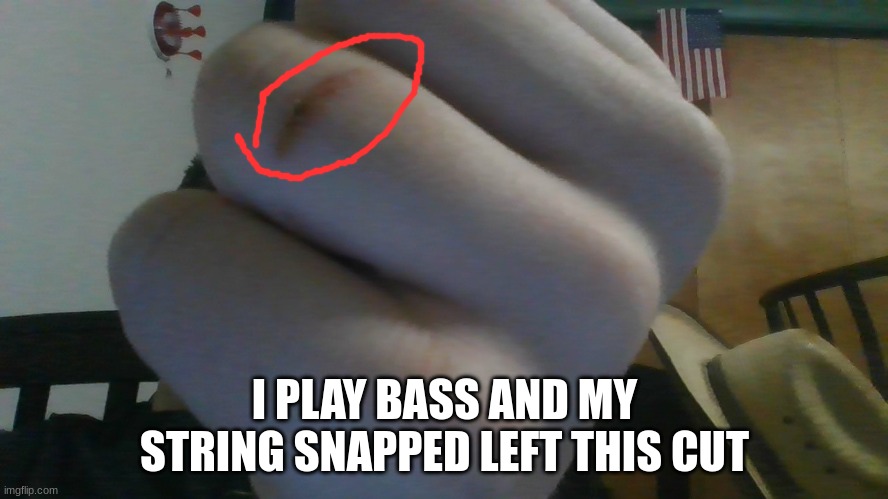does this count as a music meme? | I PLAY BASS AND MY STRING SNAPPED LEFT THIS CUT | made w/ Imgflip meme maker