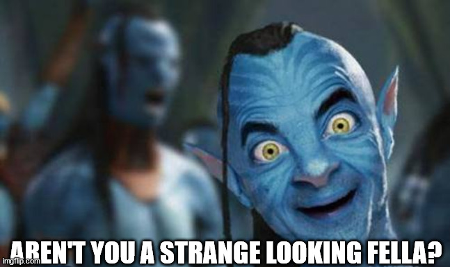 Avatar funny | AREN'T YOU A STRANGE LOOKING FELLA? | image tagged in avatar funny | made w/ Imgflip meme maker