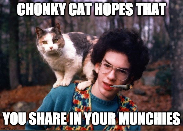 chonky cat wants munchies |  CHONKY CAT HOPES THAT; YOU SHARE IN YOUR MUNCHIES | image tagged in sweater boy and cat,munchies,420,hippie,fat cat | made w/ Imgflip meme maker