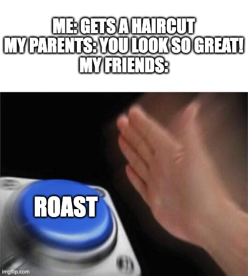 It sucks | ME: GETS A HAIRCUT
MY PARENTS: YOU LOOK SO GREAT!
MY FRIENDS:; ROAST | image tagged in memes,blank nut button | made w/ Imgflip meme maker