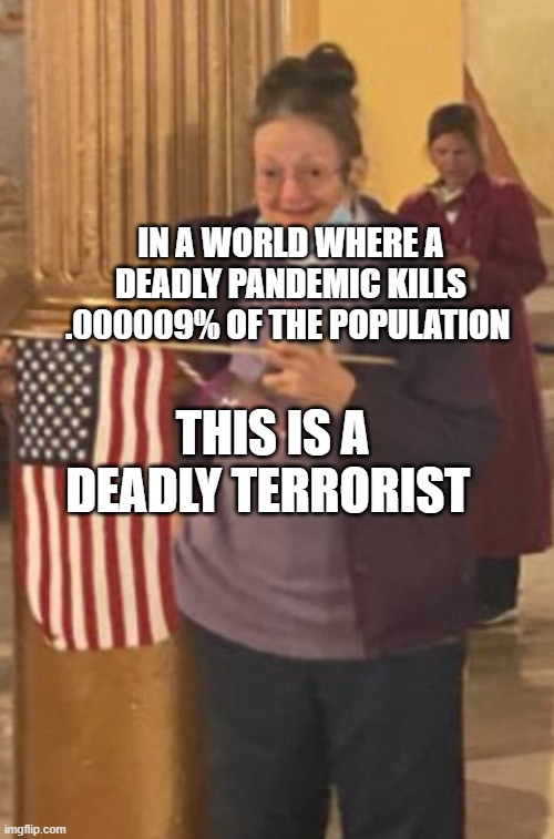 Meemaw at the capitol | IN A WORLD WHERE A DEADLY PANDEMIC KILLS .000009% OF THE POPULATION; THIS IS A DEADLY TERRORIST | image tagged in meemaw at the capitol | made w/ Imgflip meme maker