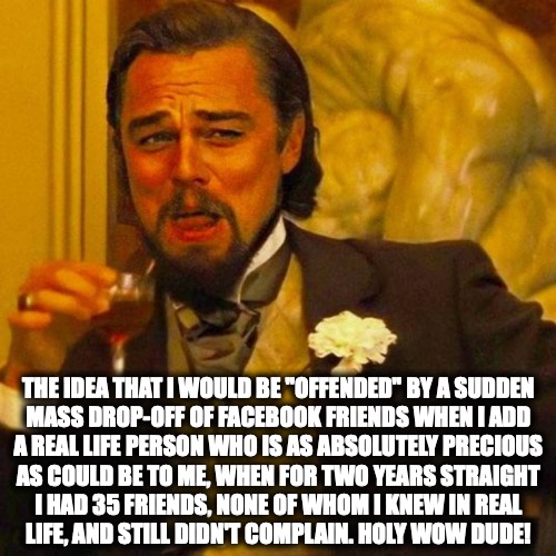 The idea that I would be offended by a mass drop-off of friends when a real life one is added | THE IDEA THAT I WOULD BE "OFFENDED" BY A SUDDEN
MASS DROP-OFF OF FACEBOOK FRIENDS WHEN I ADD
A REAL LIFE PERSON WHO IS AS ABSOLUTELY PRECIOUS
AS COULD BE TO ME, WHEN FOR TWO YEARS STRAIGHT
I HAD 35 FRIENDS, NONE OF WHOM I KNEW IN REAL
LIFE, AND STILL DIDN'T COMPLAIN. HOLY WOW DUDE! | image tagged in leonardo,leonardo dicaprio,unchained,ridicule | made w/ Imgflip meme maker
