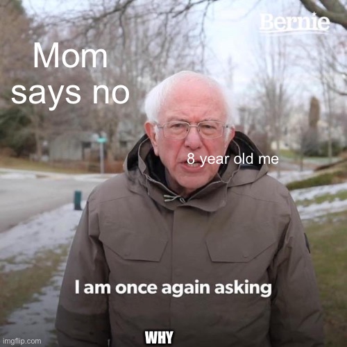 Why mom | Mom says no; 8 year old me; WHY | image tagged in memes,bernie i am once again asking for your support | made w/ Imgflip meme maker