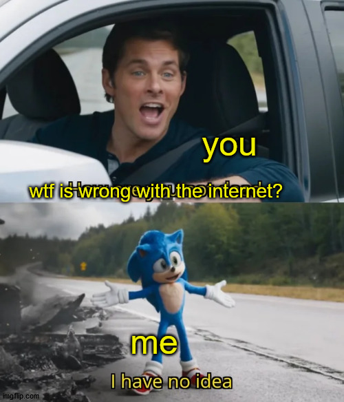 Sonic I have no idea | wtf is wrong with the internet? me you | image tagged in sonic i have no idea | made w/ Imgflip meme maker