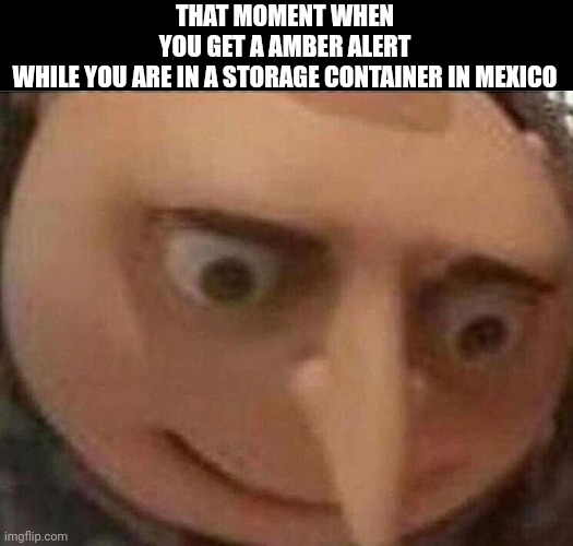 Lol | THAT MOMENT WHEN YOU GET A AMBER ALERT WHILE YOU ARE IN A STORAGE CONTAINER IN MEXICO | image tagged in funny,memes,gru meme,kidnapping,scary | made w/ Imgflip meme maker