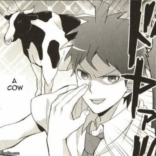 a cow | image tagged in a cow | made w/ Imgflip meme maker