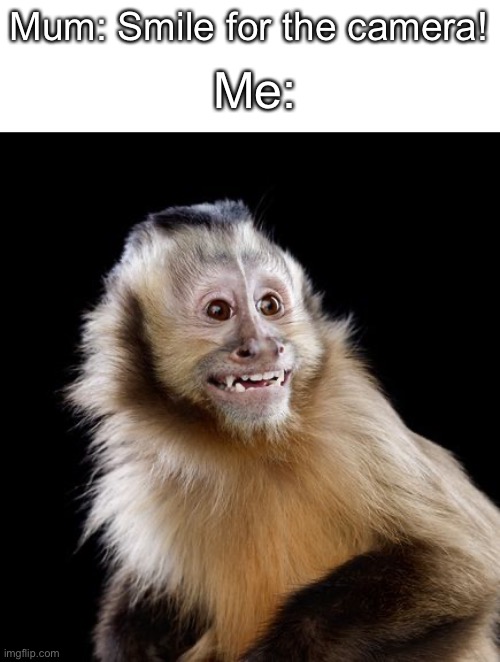 monke | Me:; Mum: Smile for the camera! | image tagged in monke | made w/ Imgflip meme maker