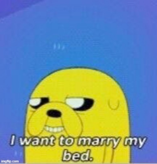 I want to marry my bed | image tagged in i want to marry my bed | made w/ Imgflip meme maker
