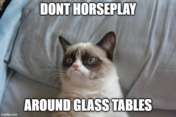 Grumpy Cat Bed Meme | DONT HORSEPLAY AROUND GLASS TABLES | image tagged in memes,grumpy cat bed,grumpy cat | made w/ Imgflip meme maker