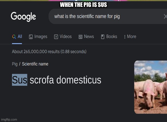 When the pig is sus | WHEN THE PIG IS SUS | image tagged in fun | made w/ Imgflip meme maker