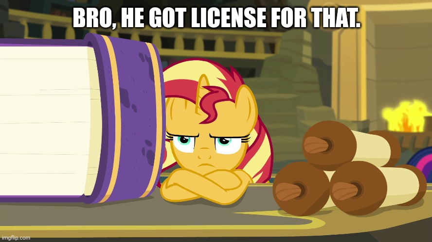 BRO, HE GOT LICENSE FOR THAT. | made w/ Imgflip meme maker