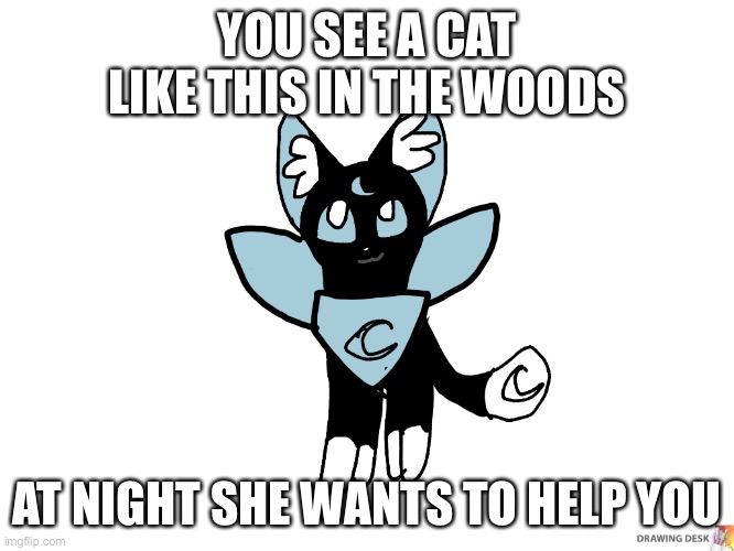 SKY | YOU SEE A CAT LIKE THIS IN THE WOODS; AT NIGHT SHE WANTS TO HELP YOU | image tagged in idk | made w/ Imgflip meme maker