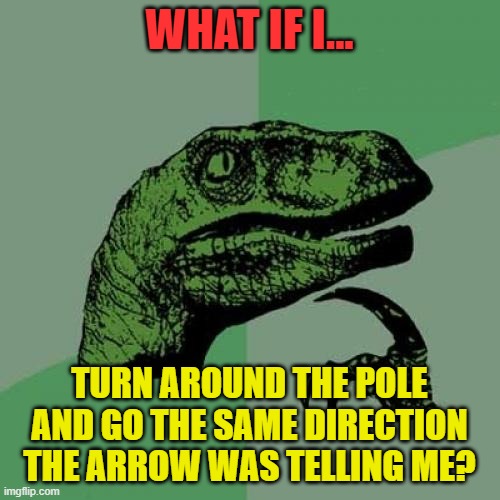 Philosoraptor Meme | WHAT IF I... TURN AROUND THE POLE AND GO THE SAME DIRECTION THE ARROW WAS TELLING ME? | image tagged in memes,philosoraptor | made w/ Imgflip meme maker