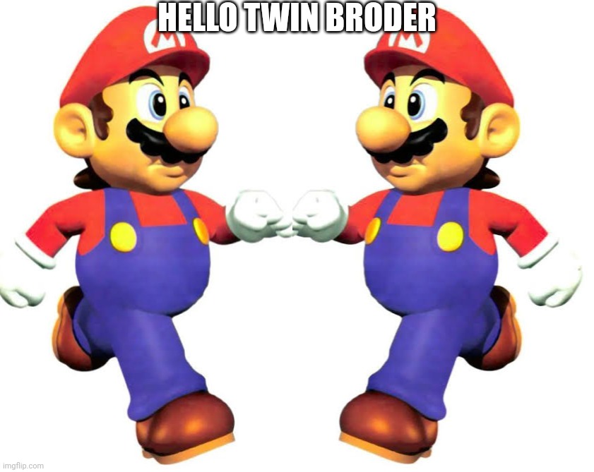 HELLO TWIN BRODER | image tagged in mario,snjssssss,carl-johnson_official template,nmkk | made w/ Imgflip meme maker