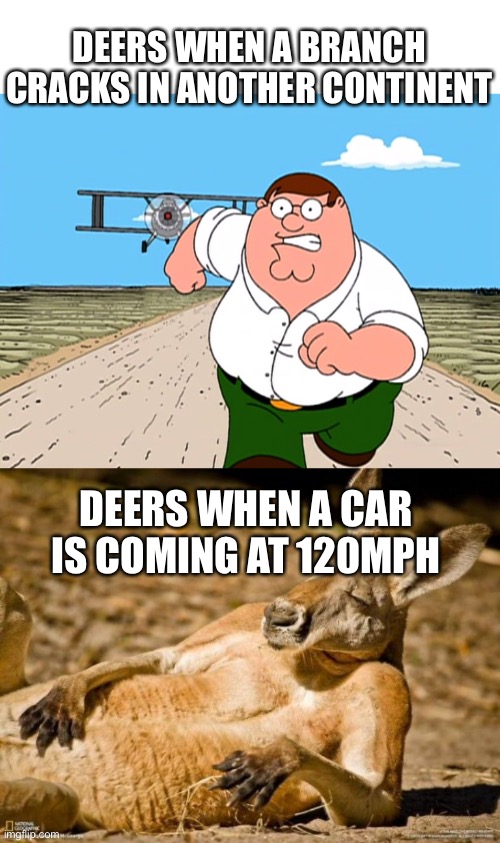 Wrf |  DEERS WHEN A BRANCH CRACKS IN ANOTHER CONTINENT; DEERS WHEN A CAR IS COMING AT 120MPH | image tagged in peter griffin running away,chillin kangaroo | made w/ Imgflip meme maker