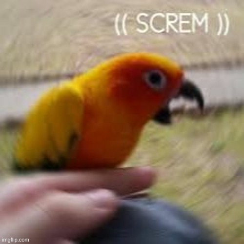 screm | made w/ Imgflip meme maker