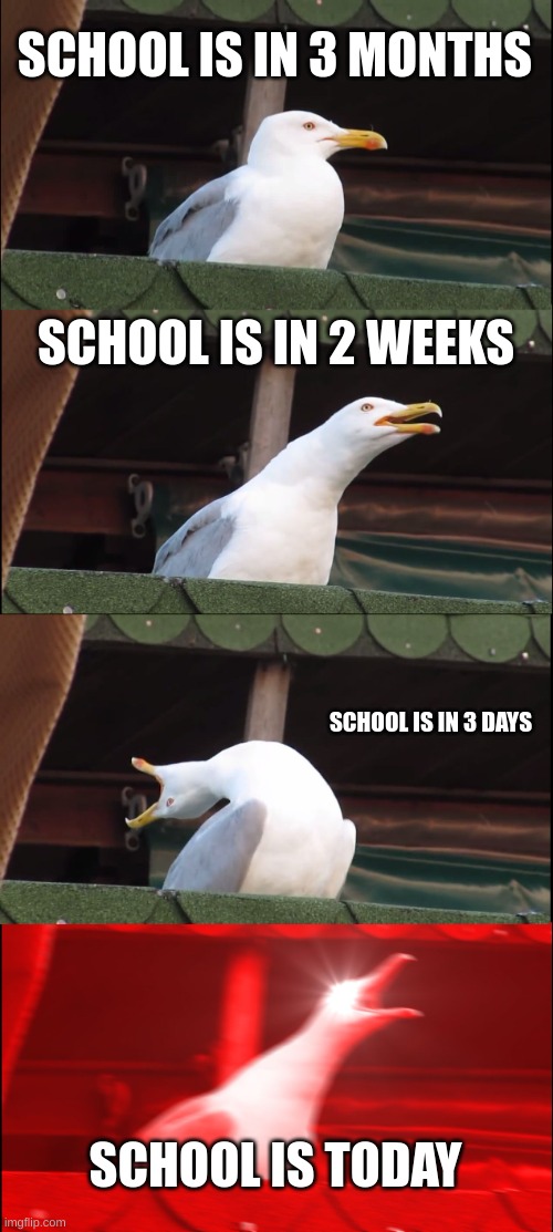 Inhaling Seagull | SCHOOL IS IN 3 MONTHS; SCHOOL IS IN 2 WEEKS; SCHOOL IS IN 3 DAYS; SCHOOL IS TODAY | image tagged in memes,inhaling seagull | made w/ Imgflip meme maker