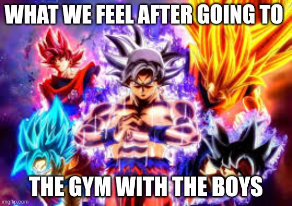 ultra | WHAT WE FEEL AFTER GOING TO; THE GYM WITH THE BOYS | image tagged in ultra | made w/ Imgflip meme maker