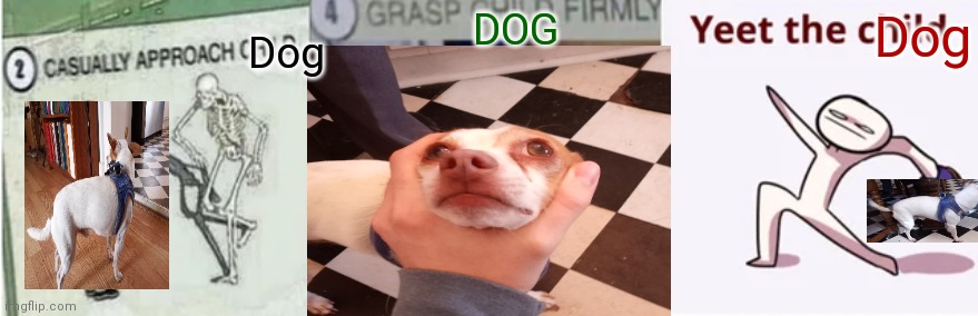 Casually Approach Child, Grasp Child Firmly, Yeet the Child |  DOG; Dog; Dog | image tagged in casually approach child grasp child firmly yeet the child,dog,dog memes,funny dogs,funny dog memes,scared dog | made w/ Imgflip meme maker
