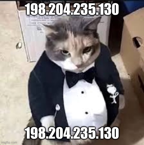 fat ass cat in a tux | 198.204.235.130; 198.204.235.130 | image tagged in fat ass cat in a tux | made w/ Imgflip meme maker